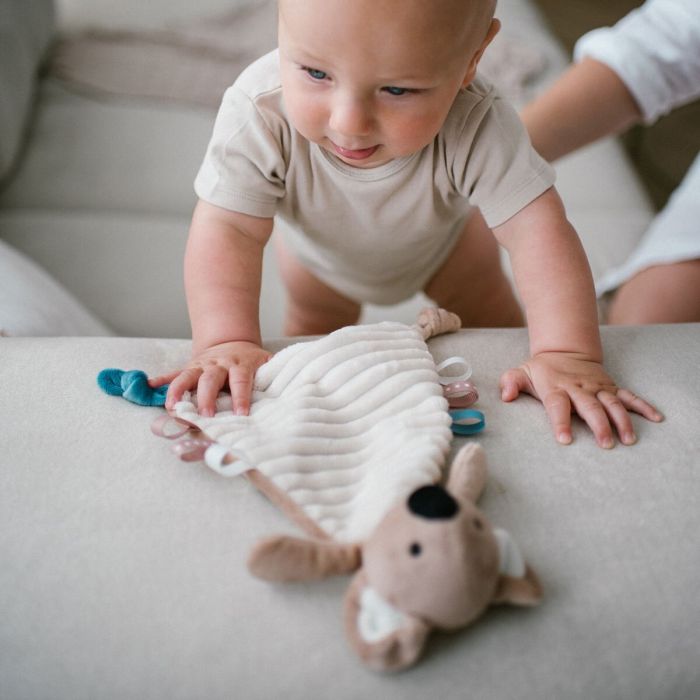 Babyono migdukas koala charlie 1559