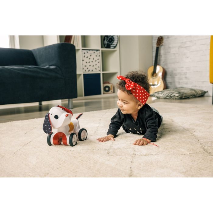 Tiny Love interaktyvus žaislas šuniukas tiny rockers