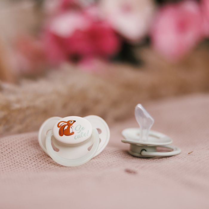 Babyono čiulptukas silikoninis anatominis 6-18m 1670/02