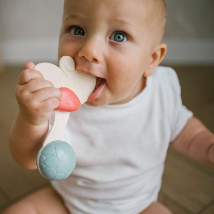 Bērnu grabulītis  Babyono "Flower"