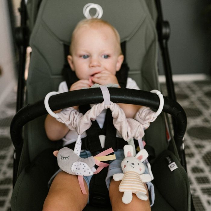 Rotaļlieta ratiņiem/krēsiņam "Nature"