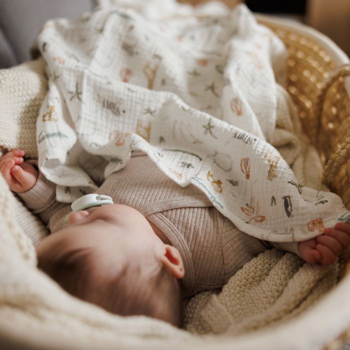 Babyono vystyklai medvilniniai 3 vnt žalias 828/04