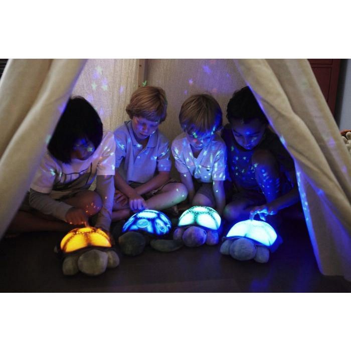 Cloud B nakts lampa ar gaismas projekciju Turtle twilight pink