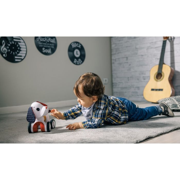 Tiny Love interaktyvus žaislas šuniukas tiny rockers