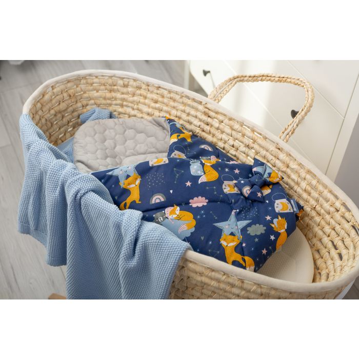 Konverti jaundzimušajiem "Foxes" zils