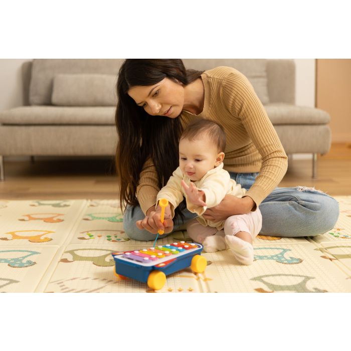 Izglītojoša rotaļlieta "Music"