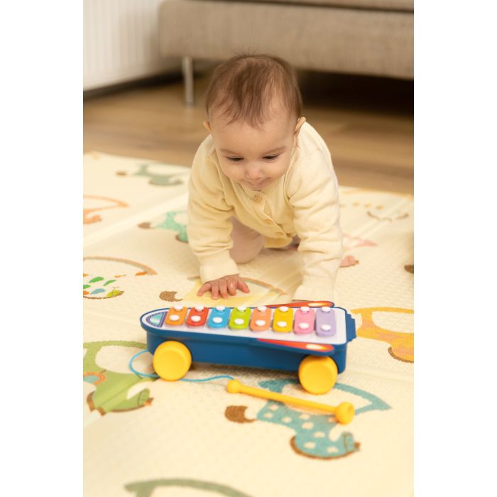 Izglītojoša rotaļlieta "Music"